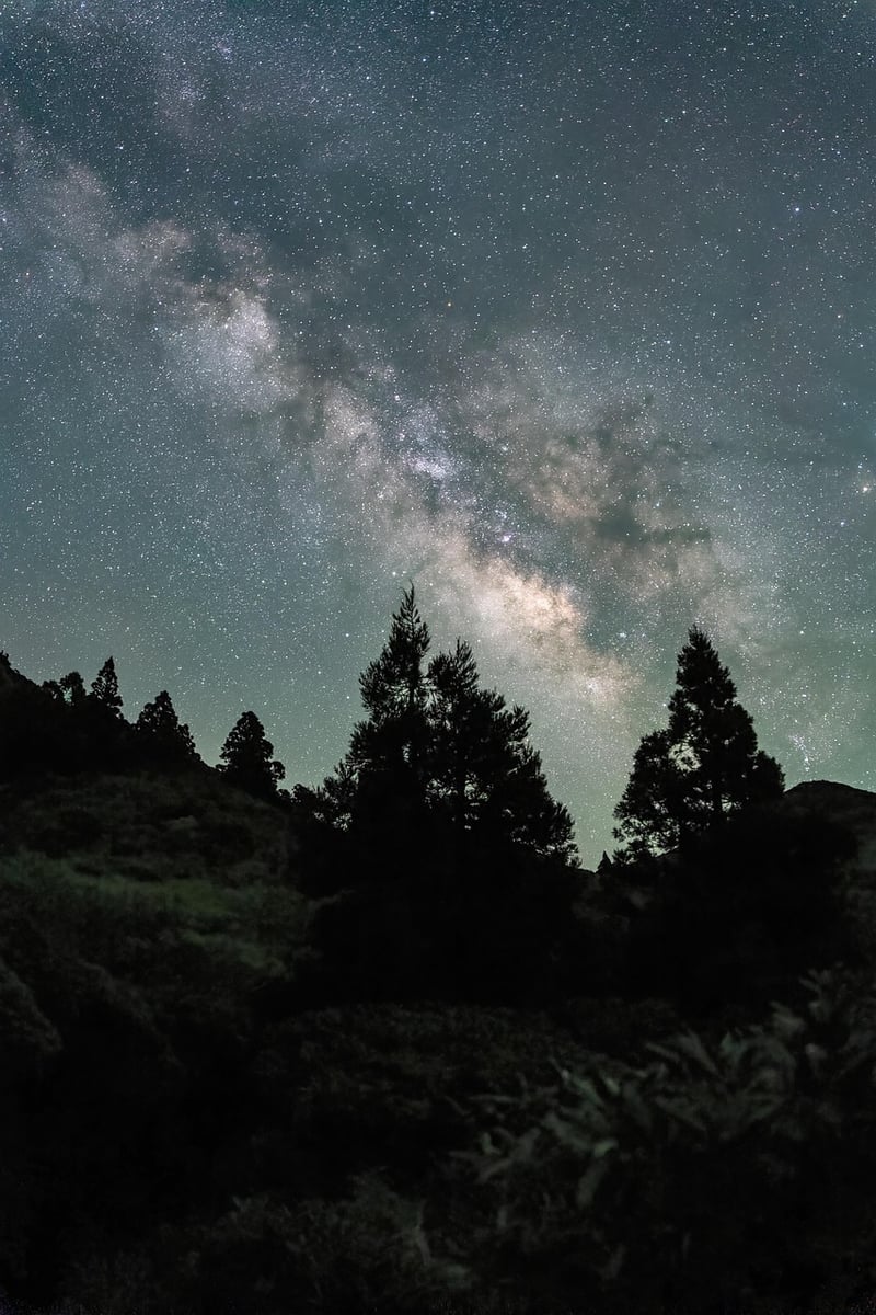 Starry Night in the Mountains